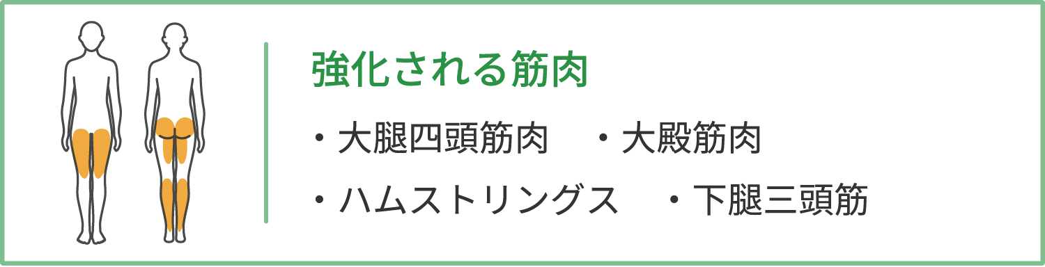 強化される筋肉 : 大腿四頭筋肉・大殿筋肉・ハムストリングス ・下腿三頭筋