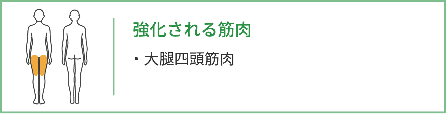 強化される筋肉 : 大腿四頭筋肉