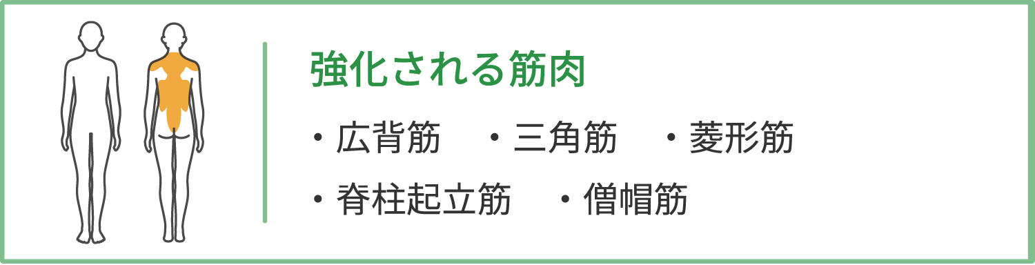 強化される筋肉 : 広背筋・三角筋・菱形筋・脊柱起立筋・僧帽筋